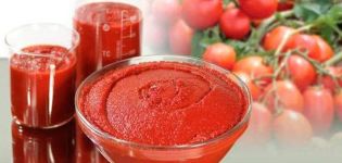 أفضل 10 وصفات حول كيفية صنع معجون الطماطم من الطماطم في المنزل