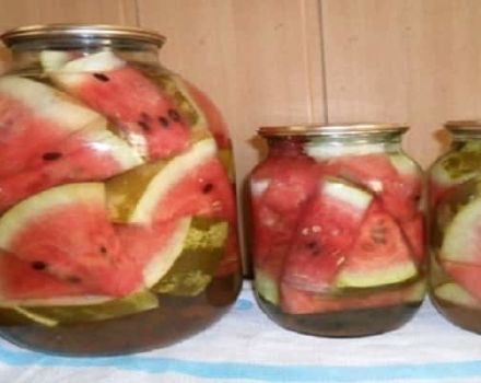 The best recipes for instant cooking salted watermelons for the winter, with and without sterilization