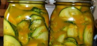 2 sunud-sunod na mga recipe para sa pagluluto ng zucchini na may turmeric para sa taglamig