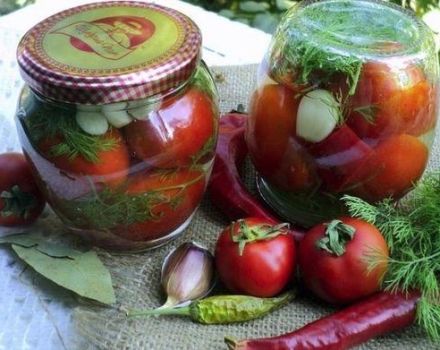 12 bedste opskrifter til fremstilling af varme tomater til vinteren trin for trin