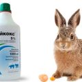 on the use of Baykoks for rabbits, composition and shelf life