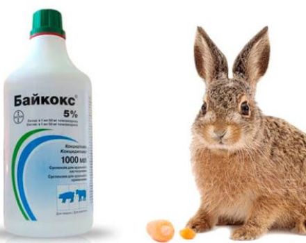 om anvendelse af Baykoks til kaniner, sammensætning og holdbarhed
