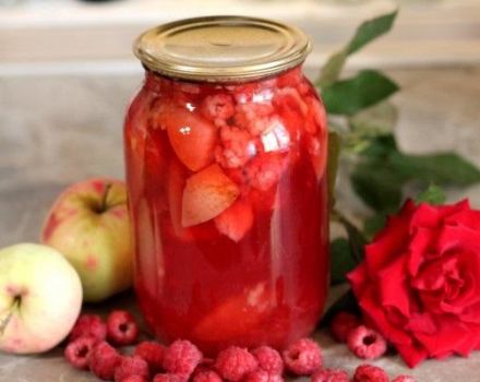 Trin-for-trin opskrift til madlavning af hindbær og æblekompott til vinteren