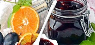 A simple recipe for making plum jam with orange for the winter