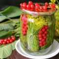 TOP 8 stapsgewijze recepten voor het koken van komkommers met krenten voor de winter
