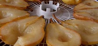 TOP 4 simple recipes for making dried pears at home