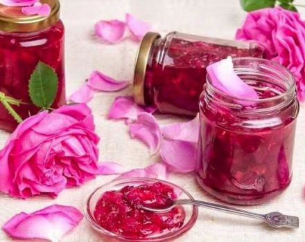 10 domácich receptov džemu z ružových lístkov