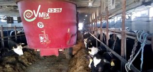 Sorten von Viehfütterern und Regeln für ihre Verwendung in landwirtschaftlichen Betrieben