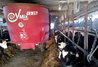 Sorter af foderdispensere til kvæg og regler for deres anvendelse på gårde
