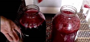 4 beste recepten om thuis fruit- en bessenwijn te maken