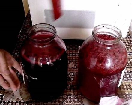 4 pinakamahusay na mga recipe para sa paggawa ng prutas at berry wine sa bahay