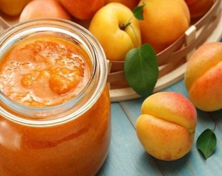 Kuinka tehdä persikkahilloa talveksi: askel askeleelta reseptit kotona