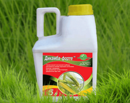 Pokyny na použitie herbicídu Dicamba, miery spotreby a ako pripraviť pracovnú zmes