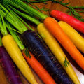 Opis, vlastnosti a vlastnosti pestovania najlepších odrôd mrkvy