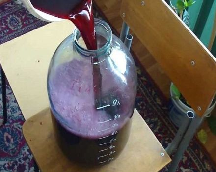 Step-by-step technology on how to make wine with your own hands at home