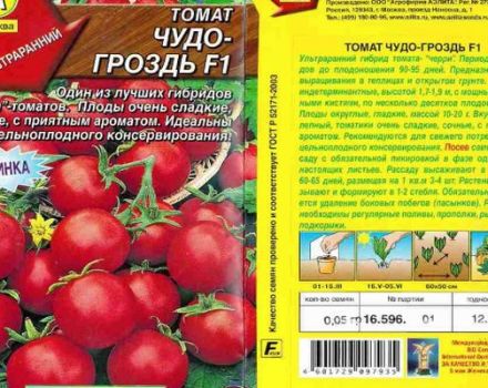 Çeşit domates mucizesi F1 demetinin tanımı ve özellikleri