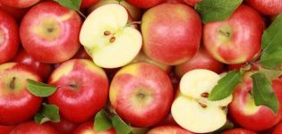 18 nejlepších receptů na výrobu polotovarů jablek na zimu
