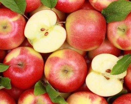 18 besten Rezepte für die Herstellung von Apfelrohlingen für den Winter