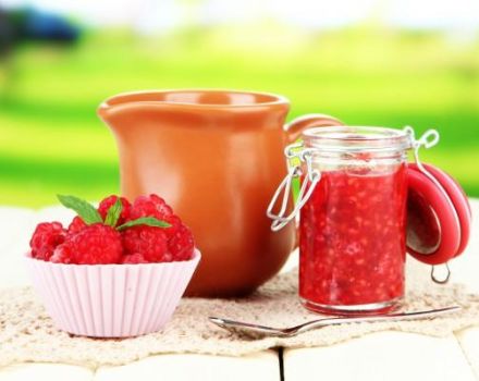 TOP 9 step-by-step recipes for making raspberries with sugar for the winter without cooking