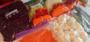 TOP 10 recipes for the correct freezing of vegetables for the winter at home with your own hands