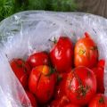 Hafif tuzlu domatesleri bir torbada 5 dakikada hızlı pişirmek için hızlı adım adım tarifler
