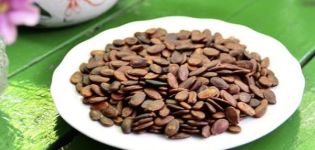 Los beneficios y daños de las semillas de sandía y si es posible comerlas, usarlas en medicina y cosmetología.