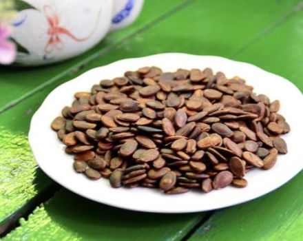 I benefici e i rischi dei semi di anguria ed è possibile mangiarli, usarli in medicina e cosmetologia
