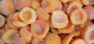 How to properly freeze apricots for the winter fresh in the refrigerator and is it possible