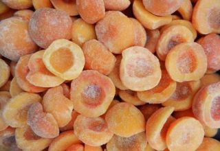 How to properly freeze apricots for the winter fresh in the refrigerator and is it possible