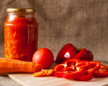 TOP 3 opskrifter til fremstilling af ungarske forretter til vinteren med peberfrugter og gulerødder