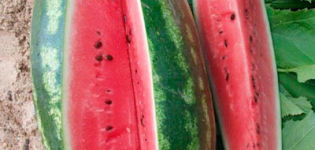 Beschrijving en kenmerken van de Peking Joy-watermeloenvariëteit, variëteiten en groeiomstandigheden