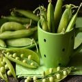 Useful properties and harm of green peas for the health of the body