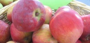 Popis odrůdy a vlastností jabloně Screen, mrazuvzdornost a výnos