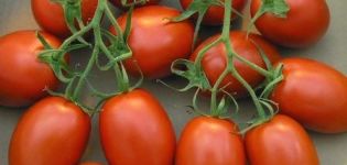 Caracteristicile și descrierea varietății de navetă de tomate, randamentul acesteia