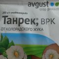 Anleitung zur Verwendung des Tanrek-Mittels für den Kartoffelkäfer, wie man richtig züchtet