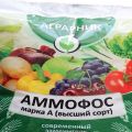 Instructions for use and composition of Ammophos fertilizer, how to breed it