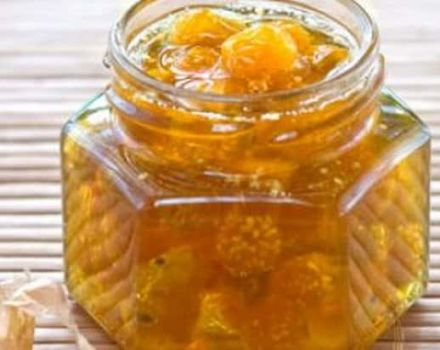 Ein einfaches Rezept für die Zubereitung von Physalis-Marmelade für den Winter