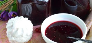 TOP 21 receptov na výrobu chutného džemu z čiernych ríbezlí na zimu