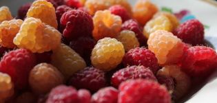 Which raspberries are healthier, yellow, red or other types, how are they different