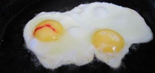 Dôvody výskytu krvi v žĺtku a bielych kuracích vajciach, riešenie problému a je možné jesť