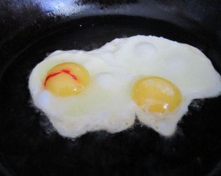 Las razones de la aparición de sangre en la yema y la clara de un huevo de gallina, la solución al problema y si es posible comer.