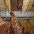 How to make a do-it-yourself chicken feeder from scrap materials, drawings