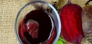 4 εύκολες συνταγές για την παρασκευή παντζαριού κρασί στο σπίτι