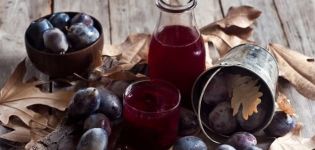 11 simple recipes for making plum compotes for a 1-3 liter jar