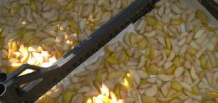 Comment bien sécher les poires au four et au séchoir électrique