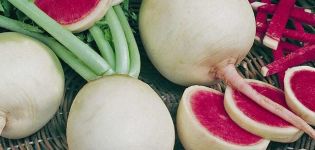 Đặc tính hữu ích, tác hại và chống chỉ định của củ cải đỏ đối với sức khỏe