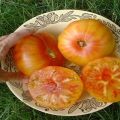 Descripción de la variedad de tomate piña hawaiana, características de cultivo y cuidado.