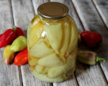 8 najlepších receptov na prípravu zimnej papriky na vypchávanie