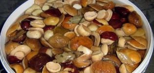 12 detaljnih recepata za pripremu ukiseljenih šampinjona od gljiva za zimu u staklenkama