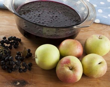 A simple recipe for making blackberry jam with apples for the winter